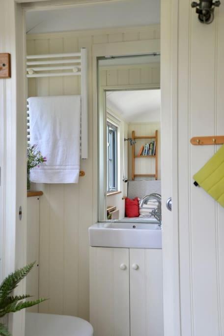 The Shepherd'S Hut @ Chichester Cottage Kültér fotó